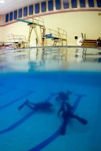 diving in a pool medium