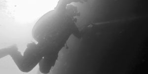 Silhouetted Diver
